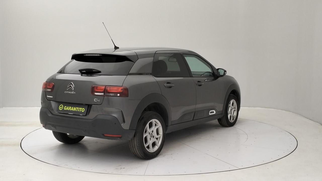 CITROEN C4 Cactus 2018 - C4 Cactus 1.5 bluehdi Shine s&s 100cv my19