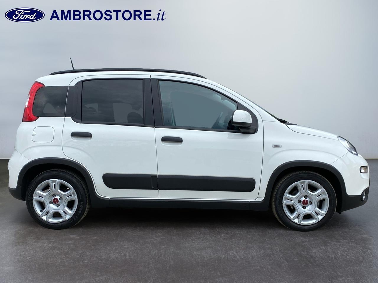 FIAT Panda III 2021 - Panda 1.0 firefly hybrid City Life s&s 70cv
