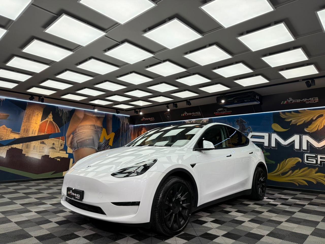Tesla Model Y Long Range AWD (634)