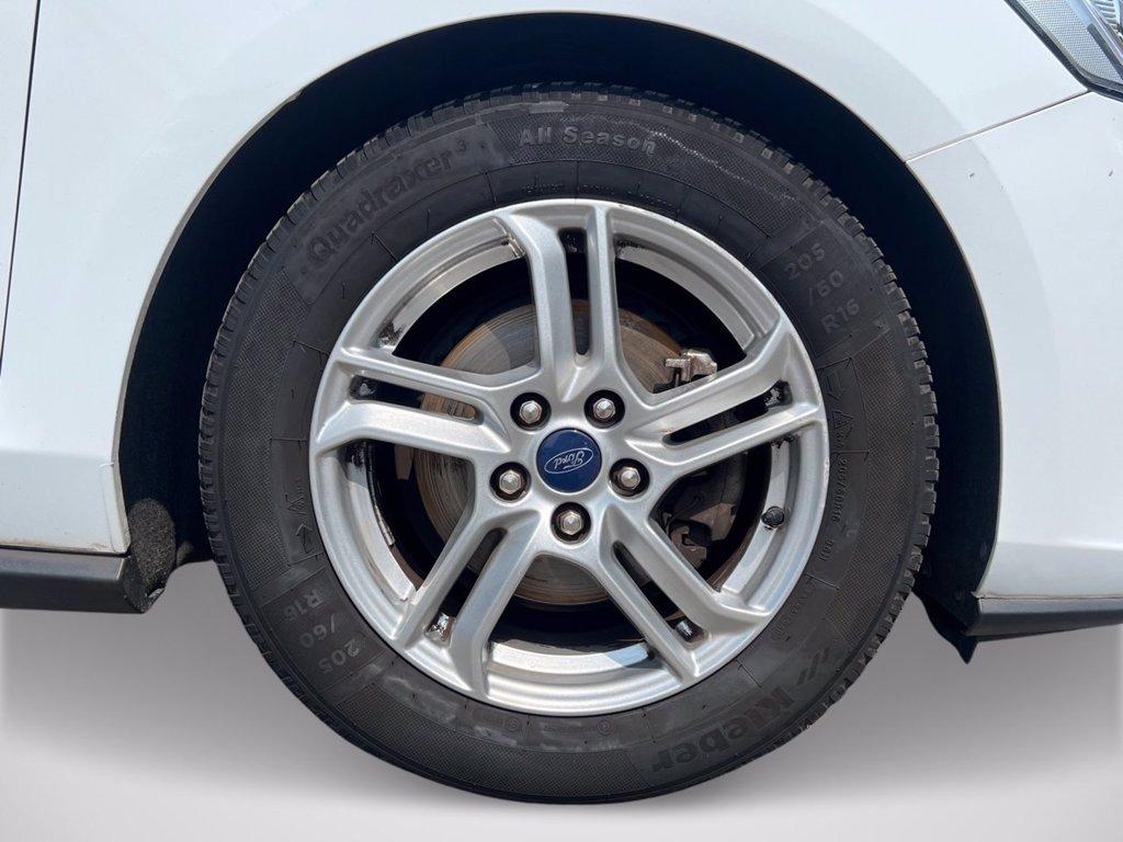 FORD Focus 1.5 ecoblue Plus 95cv del 2018