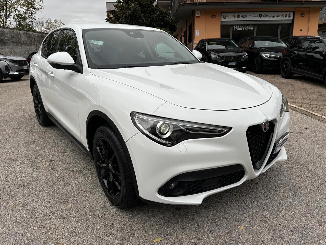 Alfa Romeo Stelvio 2.2 180 CV AT8 Q4 Executive FULL CARBON