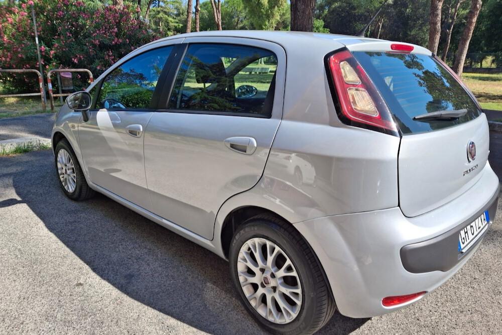 Fiat Punto Evo Punto Evo 1.4 5 porte S&S Active