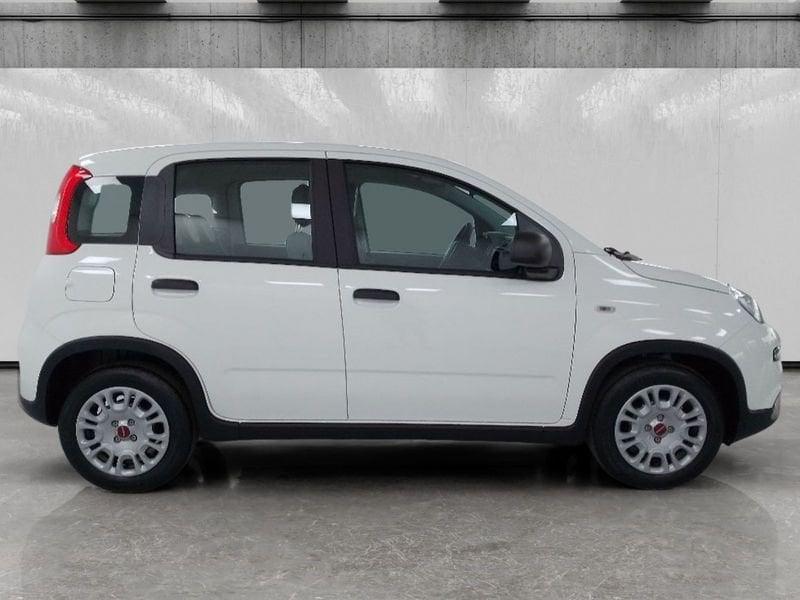 FIAT Panda 1.0 firefly hybrid s&s 70cv 5p.ti