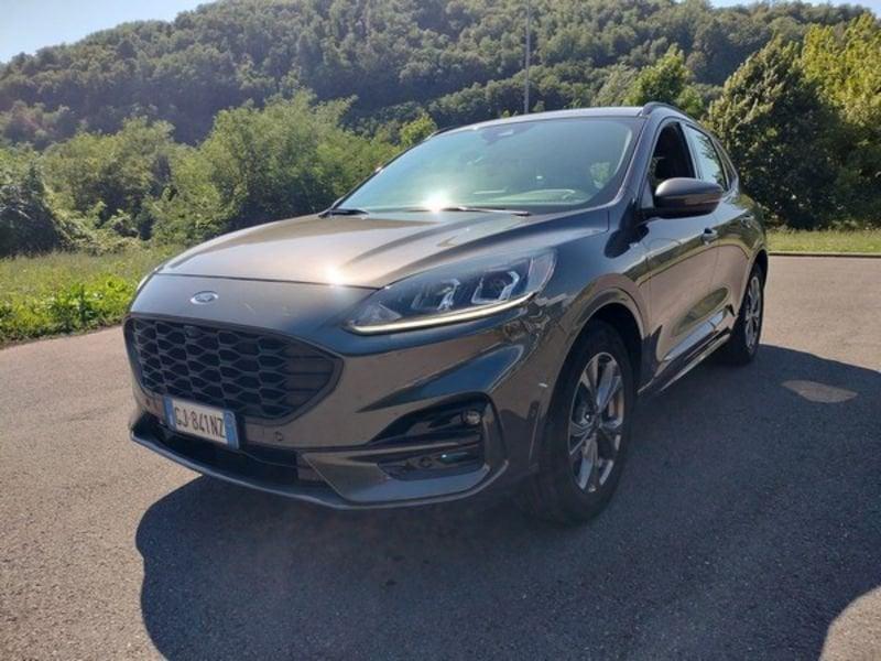 Ford Kuga Kuga 1.5 EcoBlue 120 CV 2WD ST-Line