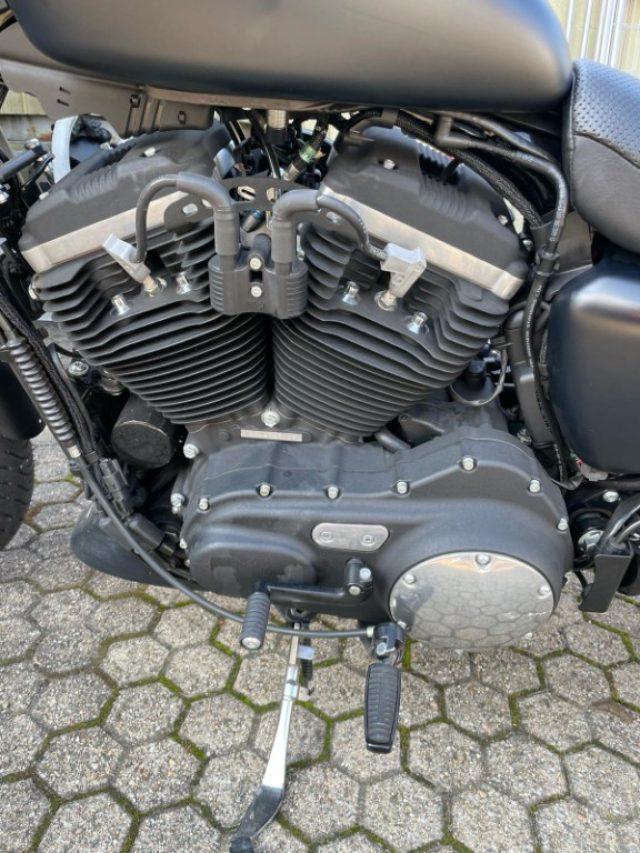 HARLEY-DAVIDSON 883 Iron xl 883N