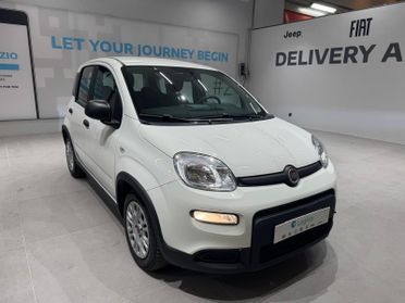 FIAT Panda III 2021 - Panda 1.0 firefly hybrid s&s 70cv 5p.ti