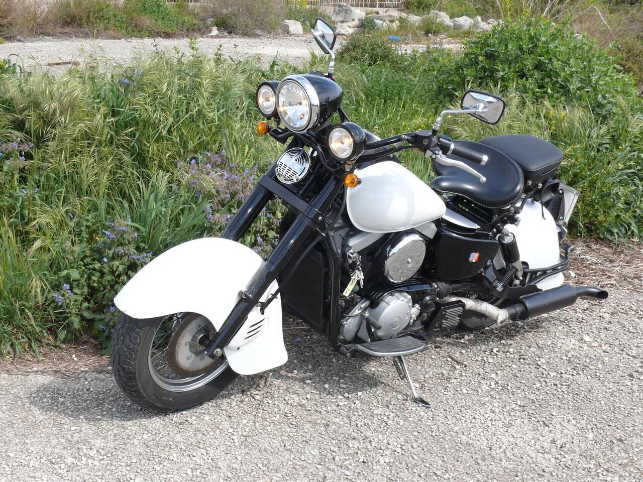 Kawasaki VN 1500 custom (M1117)