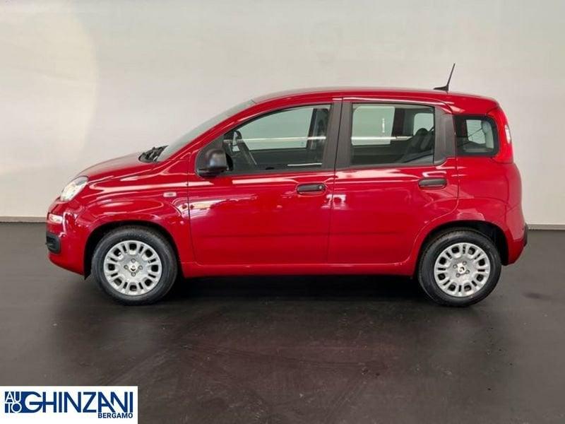 FIAT Panda 1.0 FireFly S&S Hybrid - Km0