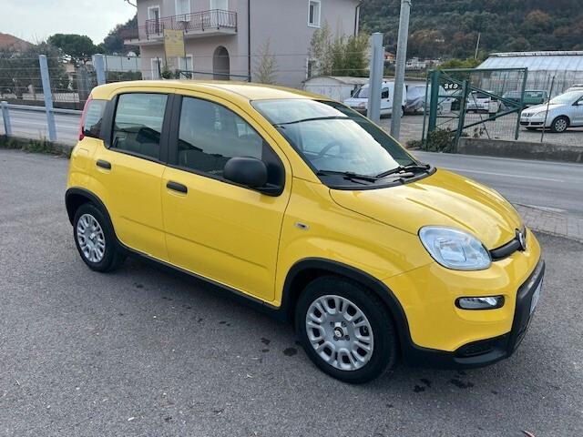Fiat Panda 1.0 FireFly S&S Hybrid Pandina