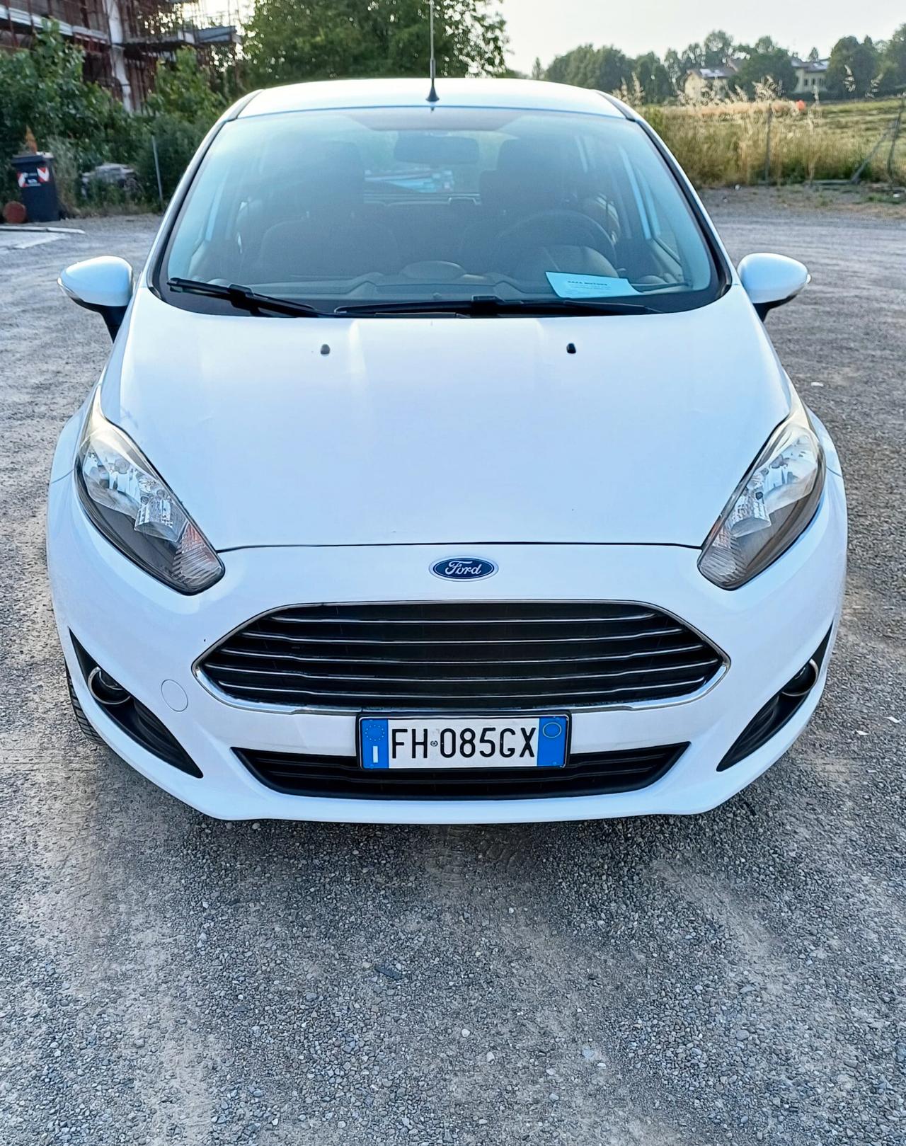 Ford Fiesta 1.4 5 porte Bz.- GPL Black & White Edition