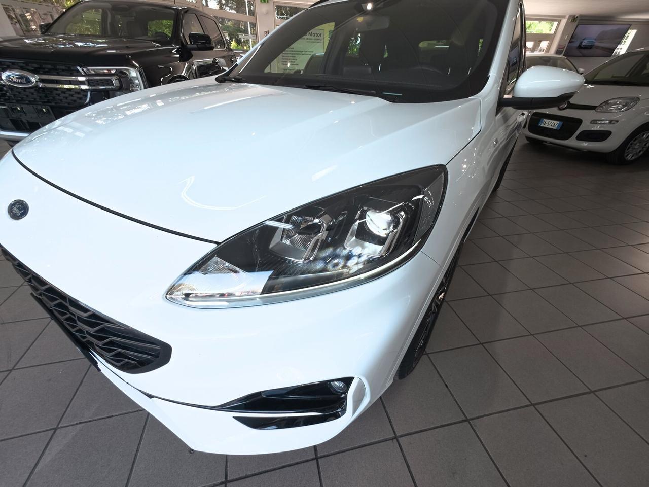 Ford Kuga 1.5 EcoBlue 120 CV 2WD ST-Line