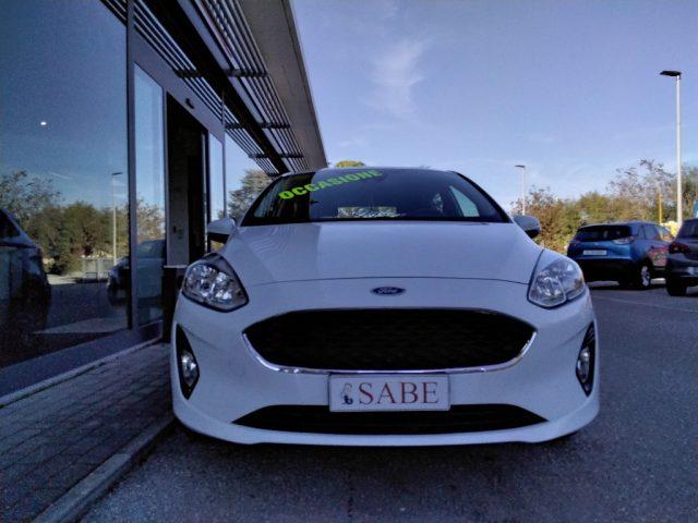 FORD Fiesta 1.5 EcoBlue 5 porte Plus