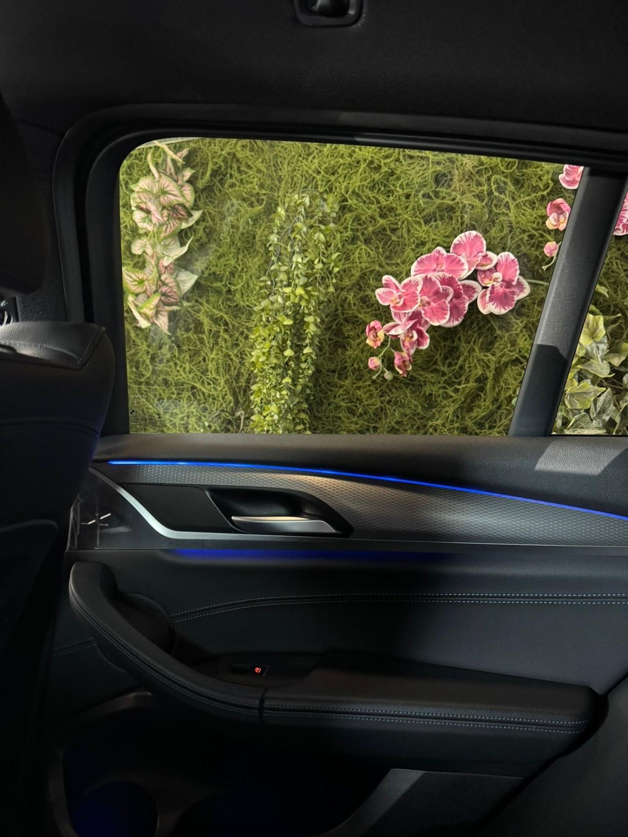 Bmw X4 xDrive20d Msport-X CRONOLOGIA BMW PERFETTA