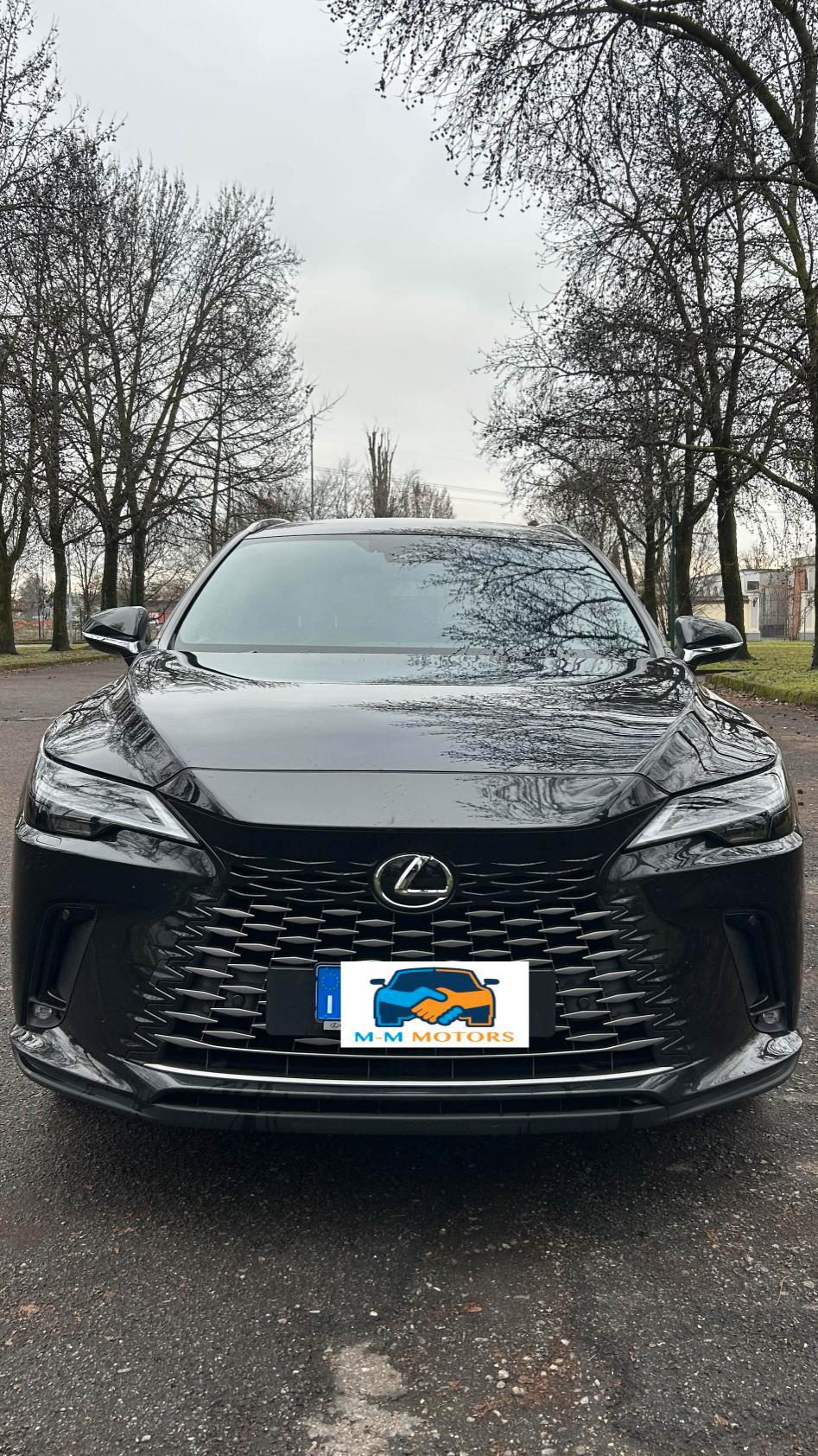 Lexus RX 450h+ 2.5 phev Executive e-cvt