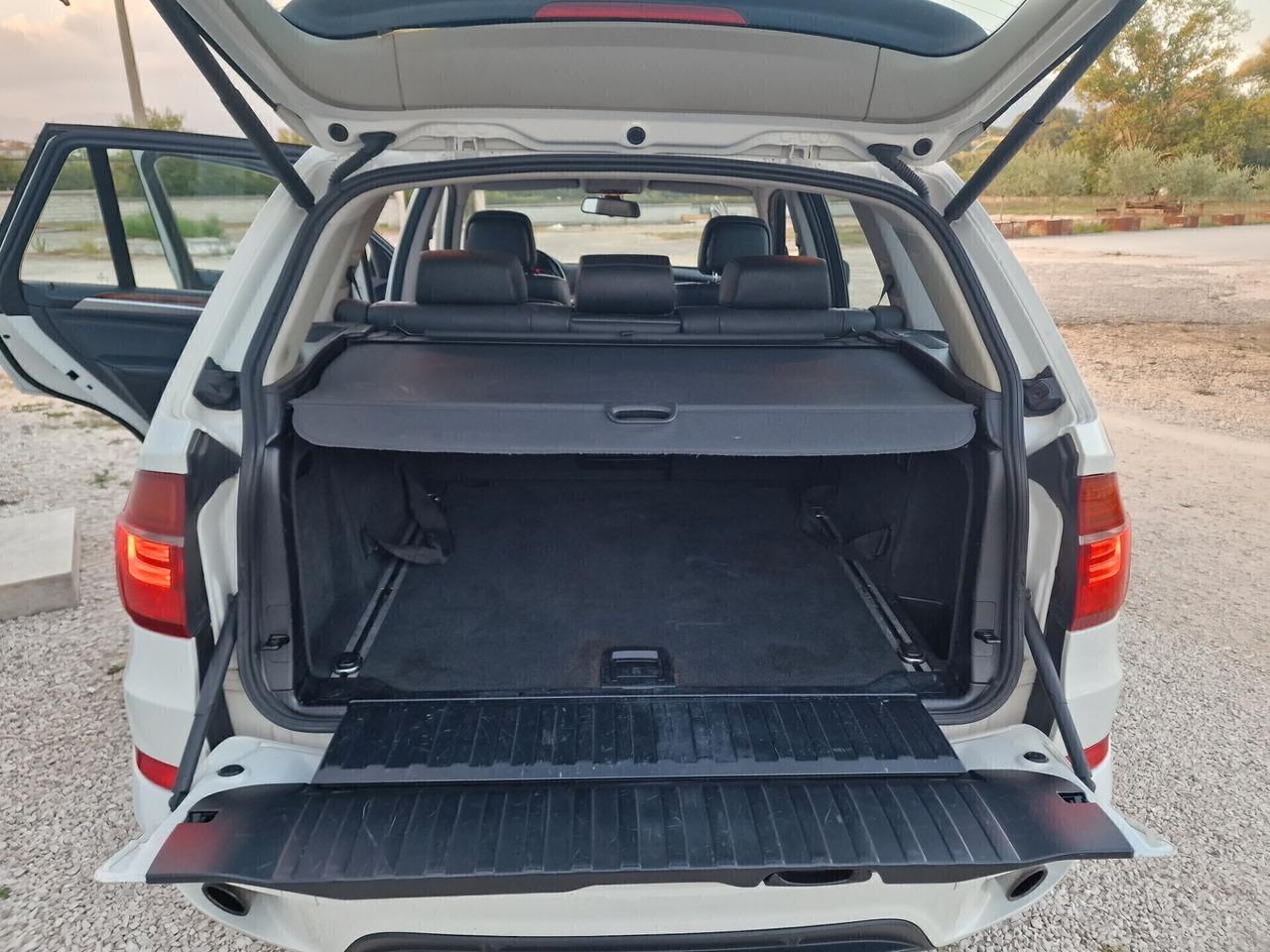 BMW X5 xDrive30d Futura - 2011