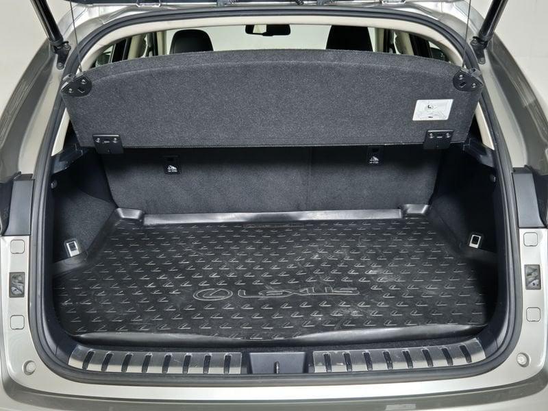 Lexus NX I 2018 300h 2.5 Luxury 4wd cvt