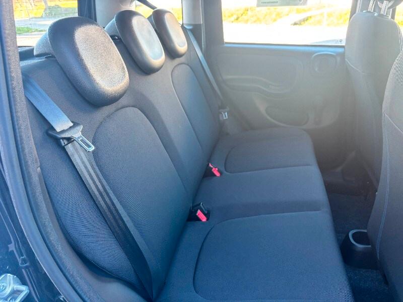 FIAT Panda 3ª serie Panda 1.0 FireFly S&S Hybrid