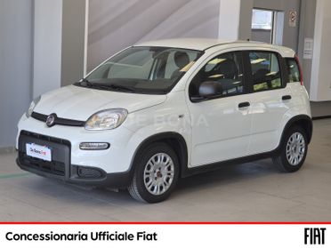 Fiat Panda 1.0 firefly hybrid s&s 70cv 5p.ti