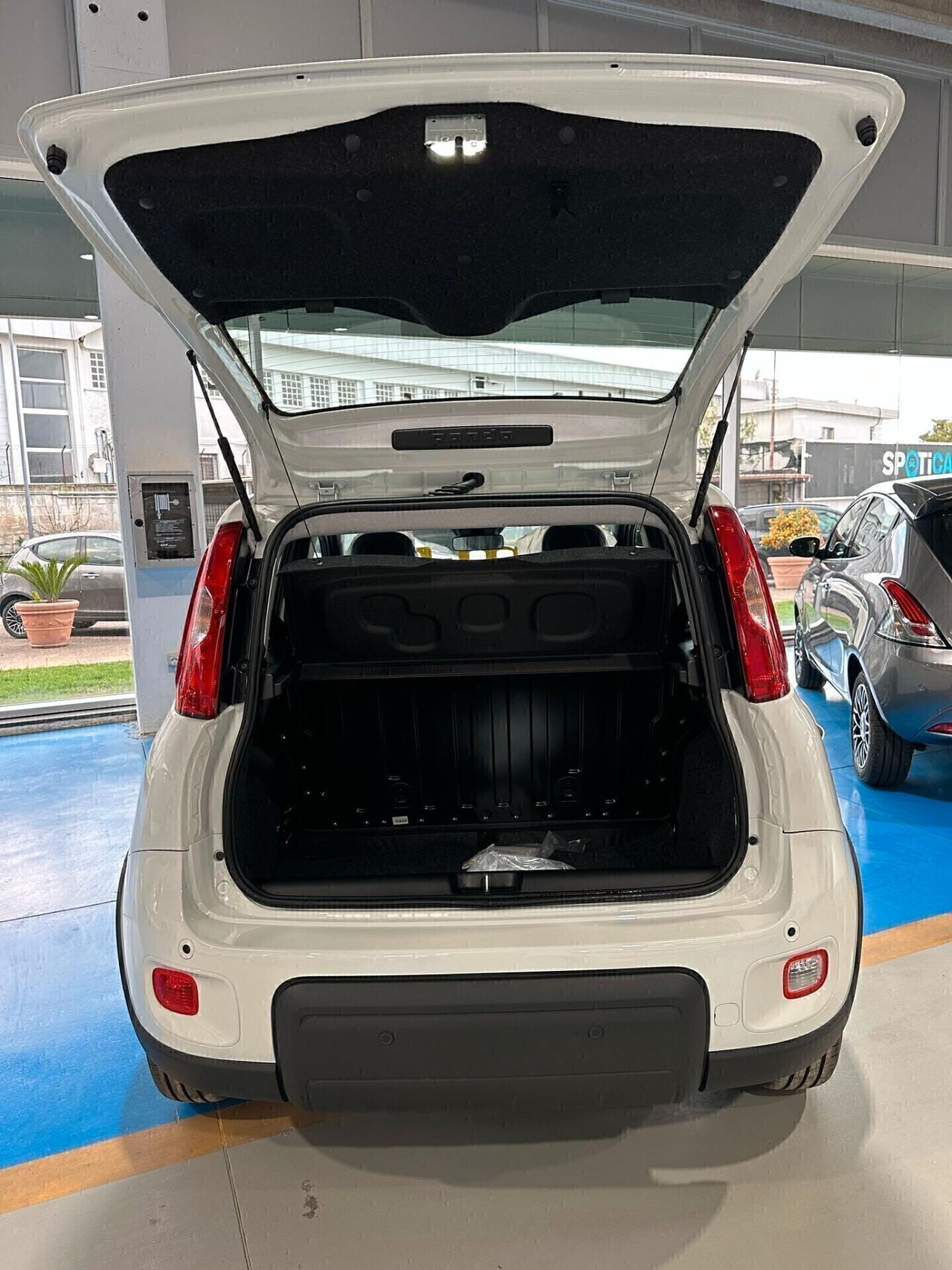 Fiat Panda 1.0 70cv Hybrid PANDINA KM 0 2024