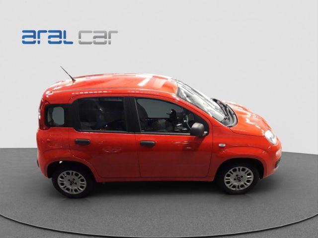 FIAT Panda 1.2 EASYPOWER 69 CV LOUNGE GPL