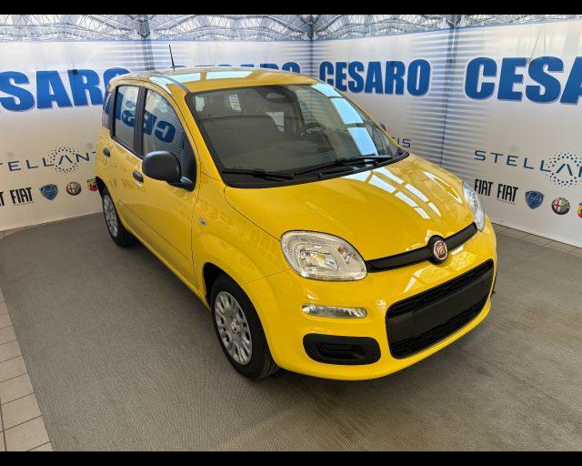 FIAT Pandina 1.0 firefly hybrid Icon s&s 65cv 5p.ti