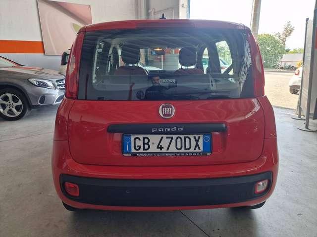 Fiat Panda Panda 1.2 Lounge easypower Gpl 69cv my19
