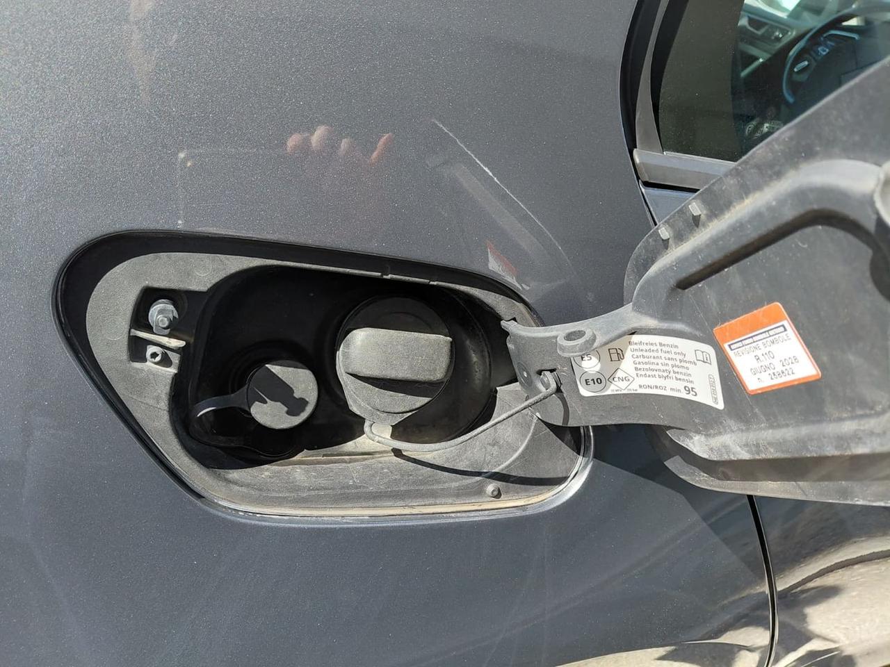 Volkswagen Golf Business 1.5 TGI BlueMotion #10224