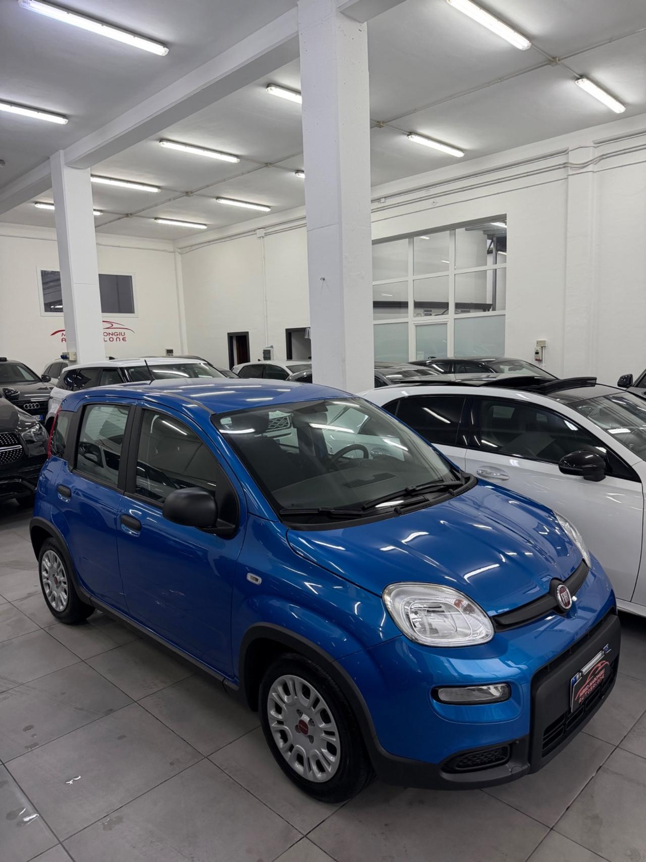 Fiat Panda 1.0 FireFly S&S Hybrid FINANZIABILE