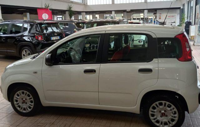 FIAT Panda 1.0 GSE S&S Hybrid Easy Van 4 posti