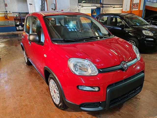 Fiat Panda 1.0 Hybrid 70cv 36 Rate da 177,95