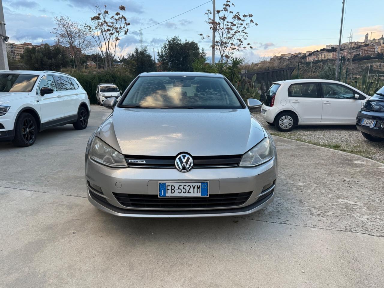 Volkswagen Golf 1.4 TGI 5p. Trendline BlueMotion
