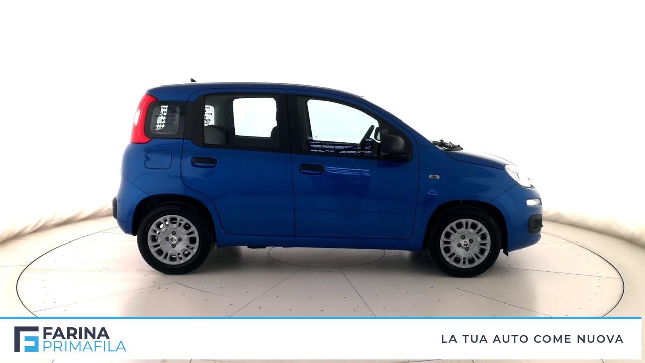 FIAT Panda III 2021 - Panda 1.0 firefly hybrid Pop s&s 70cv