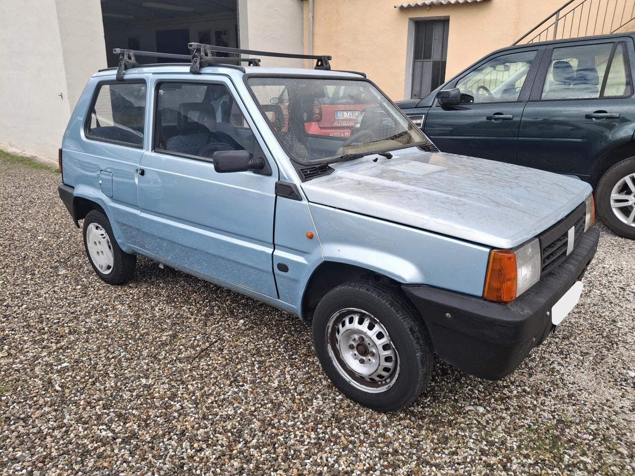 Fiat Panda 1100 i.e. cat Young