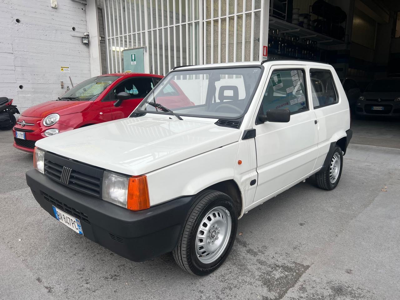 Fiat Panda 1100 i.e. cat Young