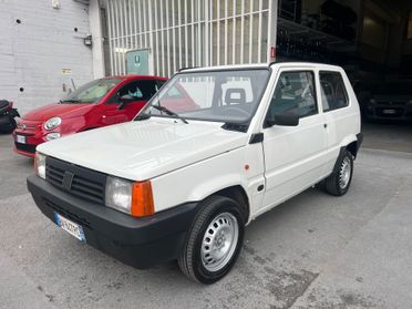 Fiat Panda 1100 i.e. cat Young