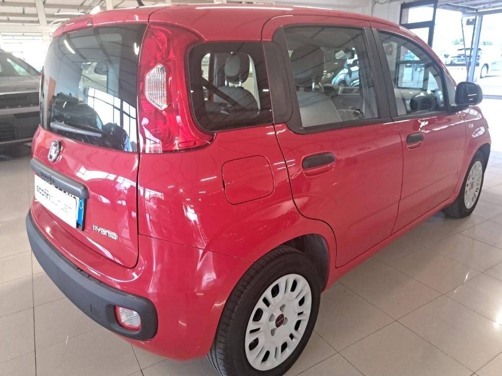 FIAT Panda III 2021 - Panda 1.0 firefly hybrid s&s 70cv