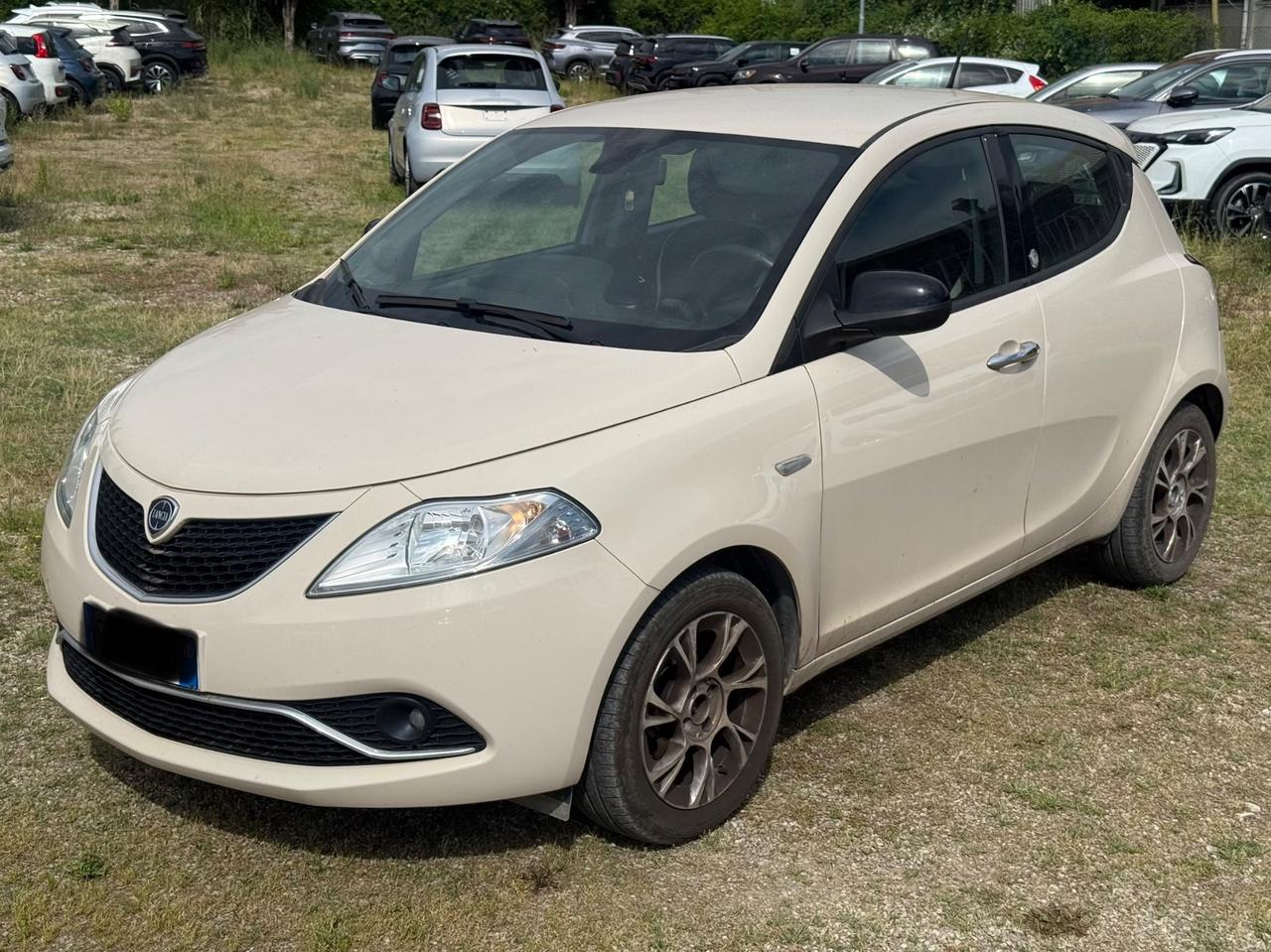 Lancia Ypsilon 1.2 69 CV 5 porte Platinum