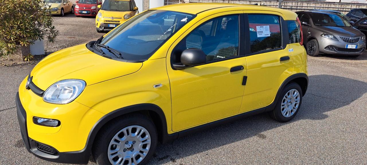 Fiat Panda 1.0 FireFly S&S Hybrid