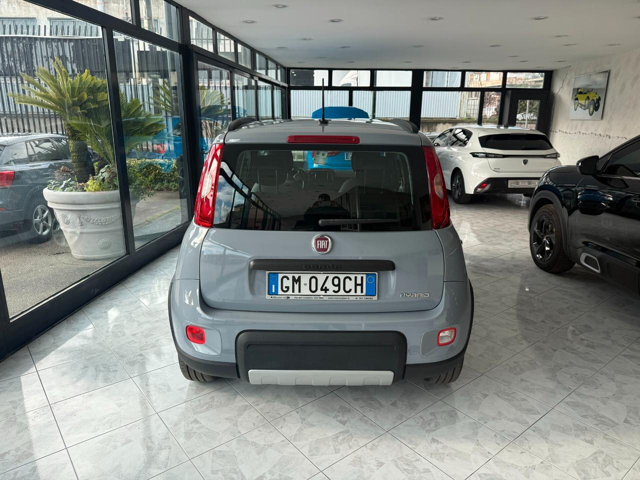 Fiat Panda 1.0 FireFly S&S Hybrid City Life IN PRONTA CONSEGNA