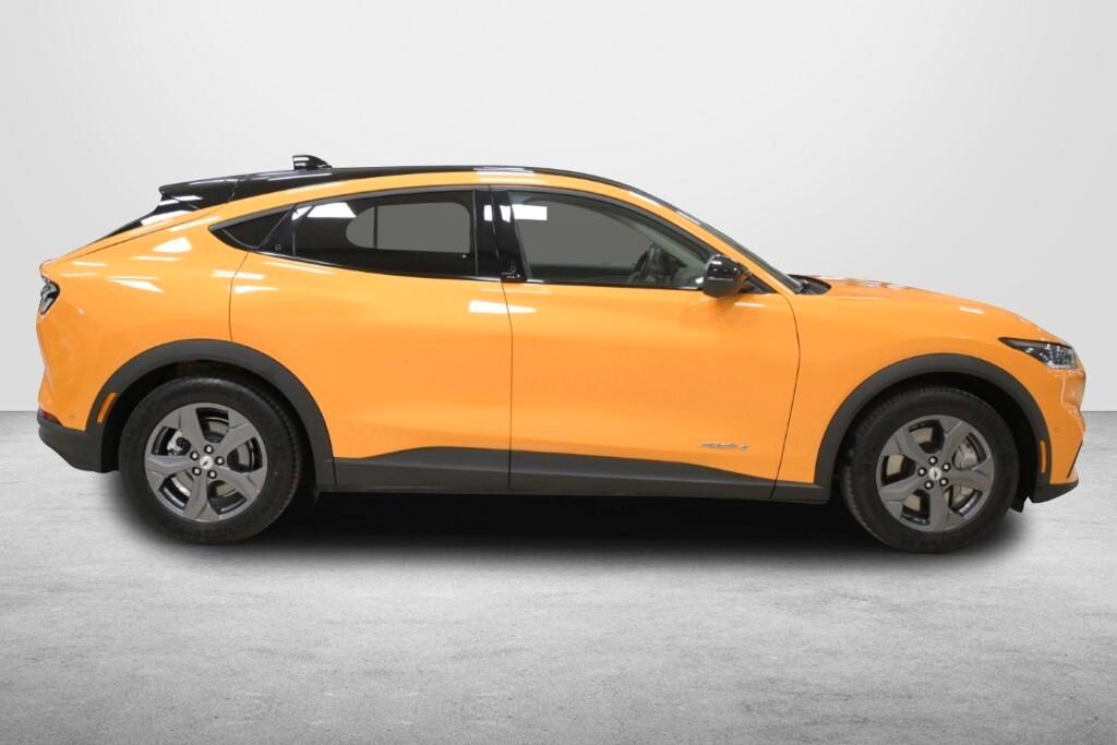 Ford Mustang MACH-E STANDARD RANGE 269CV ( FARI LED - PELLE TETTO PANORAMICO PDC NAVI MIRROR )