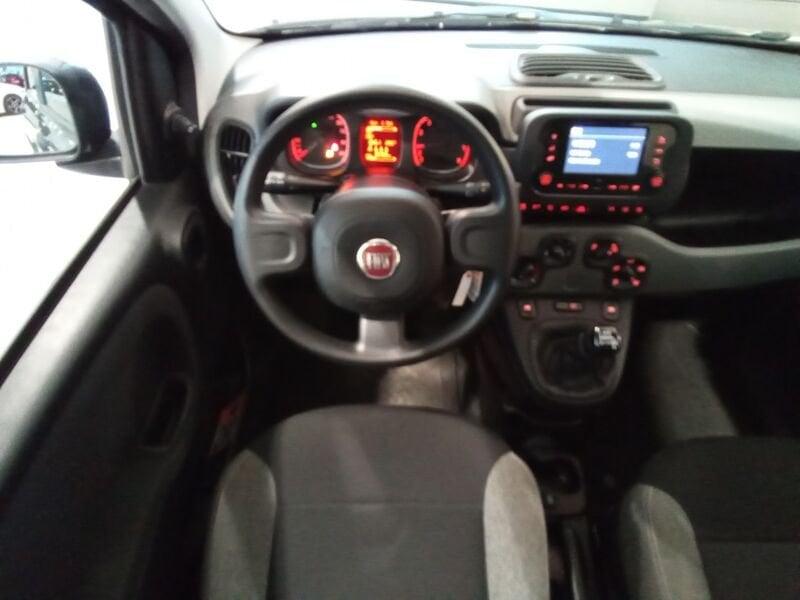 FIAT Panda Panda 1.0 firefly hybrid s&s 70cv 5p.ti