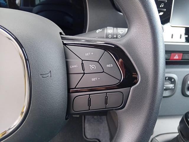 FIAT Panda 1.0 MILD HYBRID MANUALE PANDINA OK NEOPATENTATO