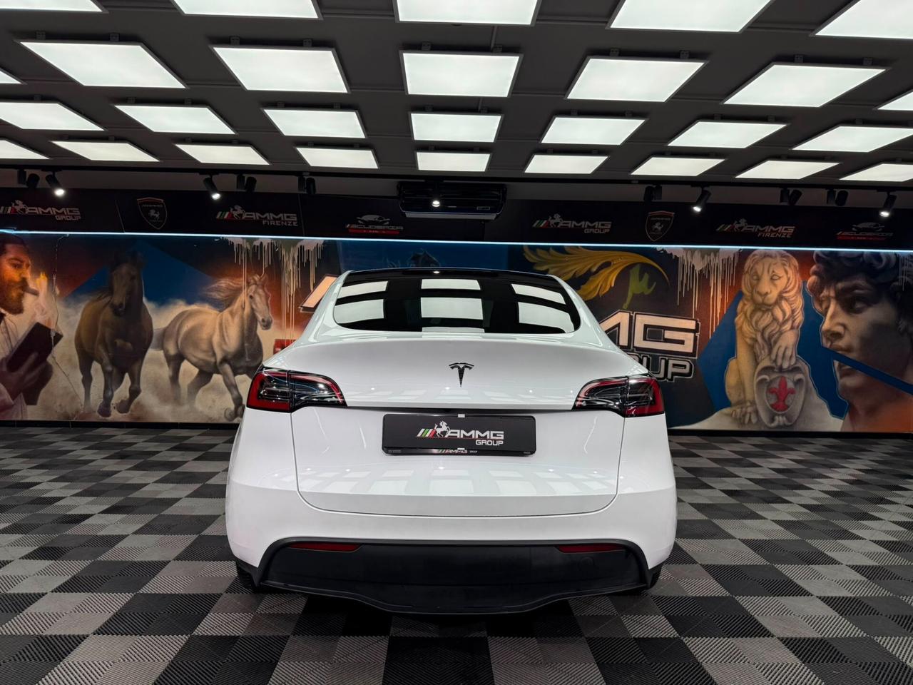 Tesla Model Y RWD (050)
