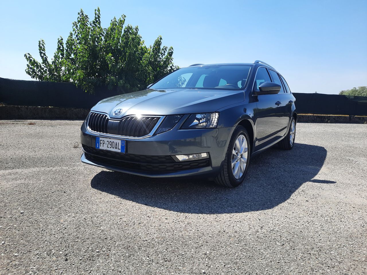 Skoda Octavia 1.6 Tdi Cr 115 Cv Wagon Executive