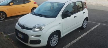 Fiat Panda 1.2 Easy 5P ANNO 2019 BENZINA