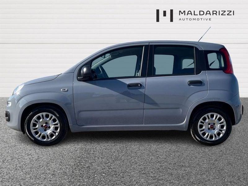 FIAT Panda III 2021 1.0 firefly hybrid s&s 70cv