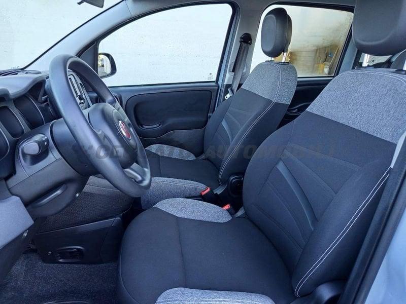 FIAT Panda Panda 1.0 firefly hybrid City Life s&s 70cv 5p.ti