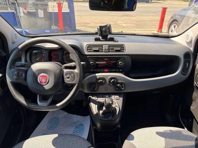 FIAT Panda Panda III 1.2 Lounge easypower Gpl 69cv my19