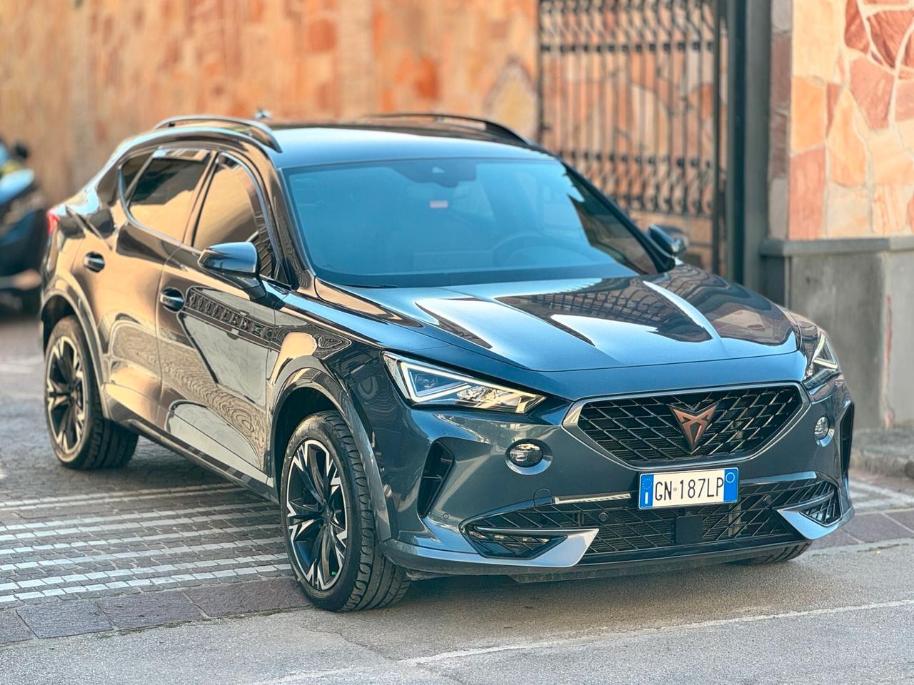 Cupra Formentor 2.0 TDI 4Drive DSG IVA DEDUCIBILE