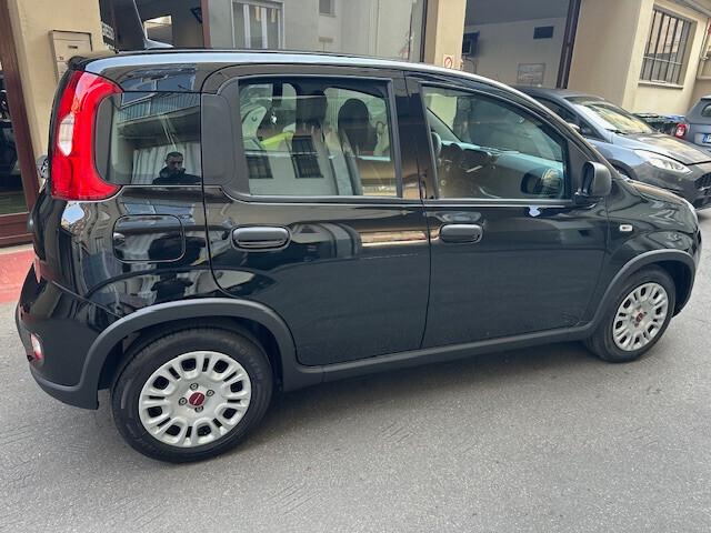 Fiat Panda 1.0 FireFly S&S Hybrid (PREZZO REALE)